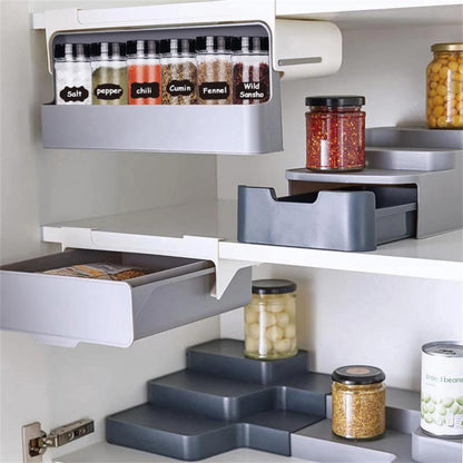 Under-Shelf Spice Organizer