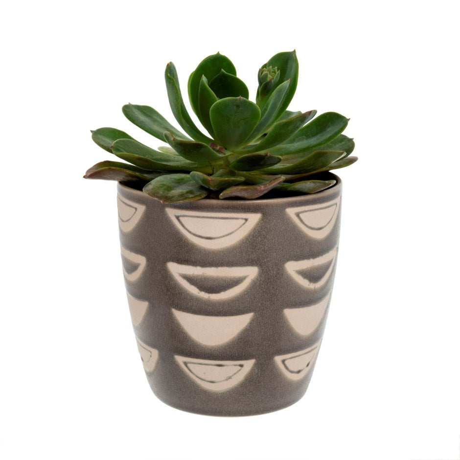 Luna Flower Pot